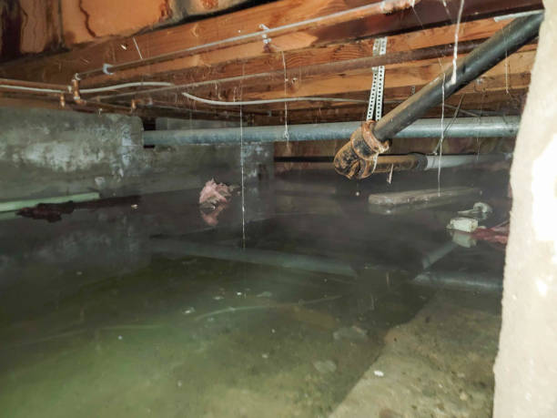 Sewage cleanup and water damage restoration in Monterey, CA