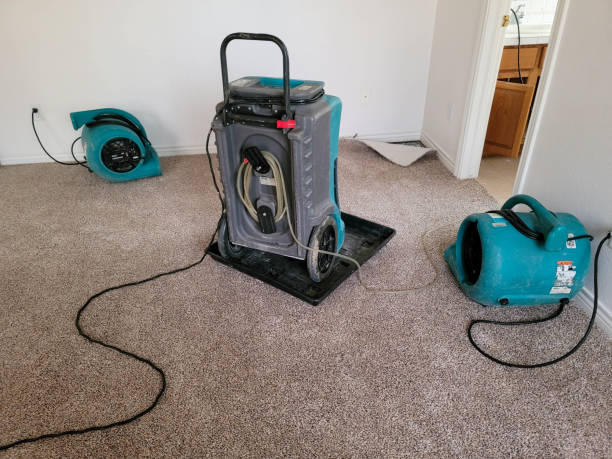 Best Carpet water damage restoration  in Monterey, CA