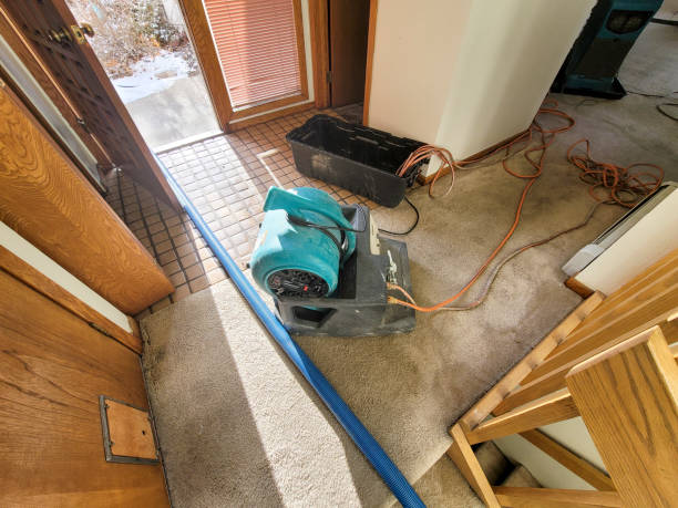  Monterey, CA Water damage restoration Pros