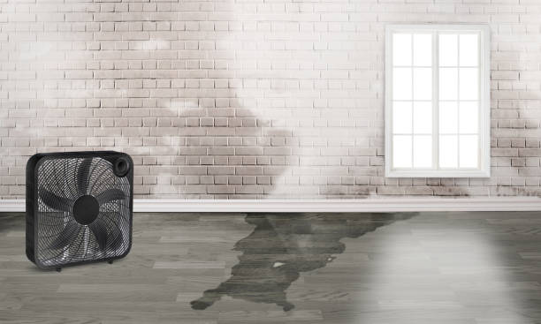 Best Ceiling water damage repair  in Monterey, CA